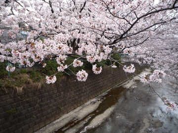 c0200735_1665721.jpg
