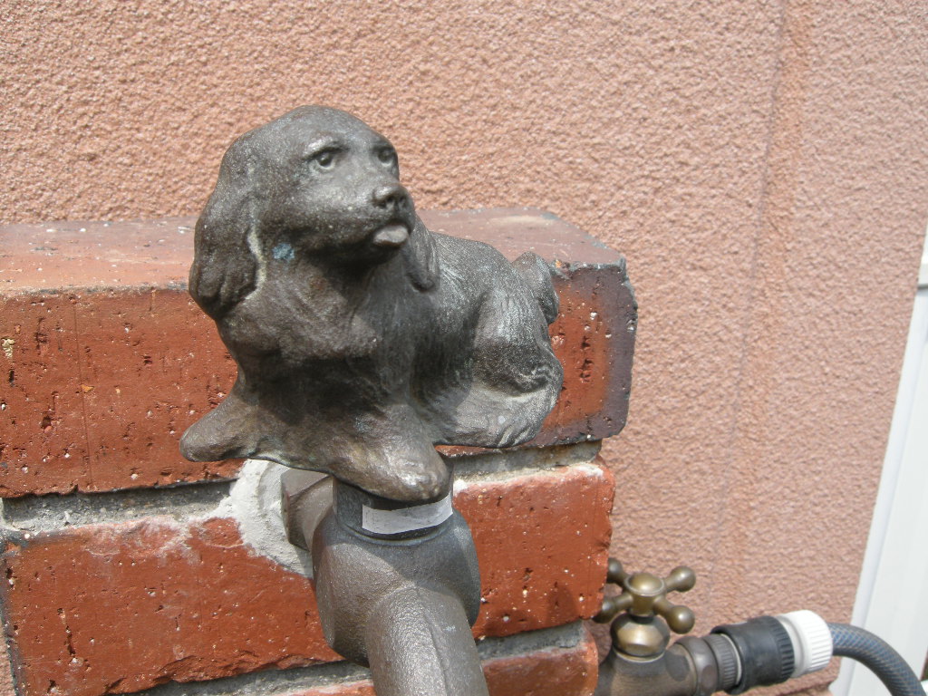 f0193836_19341236.jpg