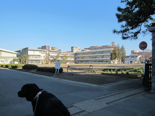 d0156438_1234914.jpg