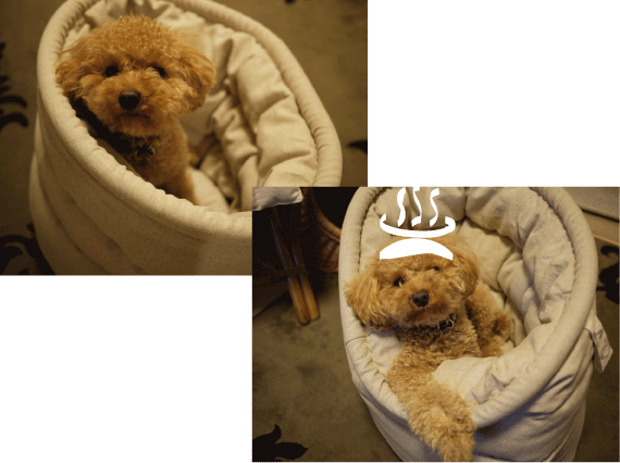 b0182846_1555318.gif