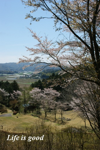 b0140347_19637.jpg