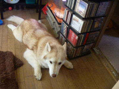 e0121548_2214637.jpg