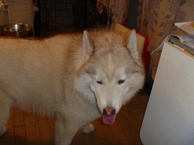 e0121548_22191376.jpg