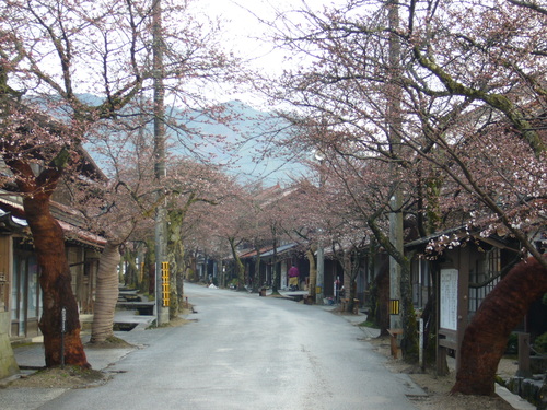 b0174451_72395.jpg