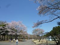 b0220251_16394254.jpg