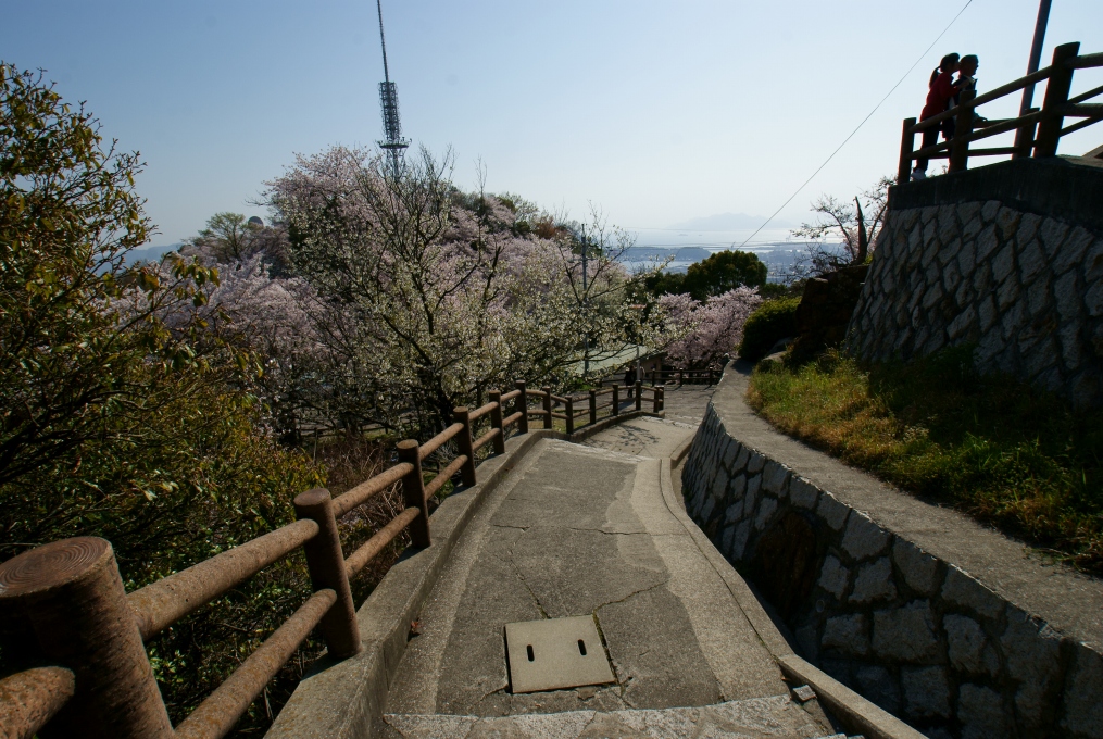e0005253_1041341.jpg