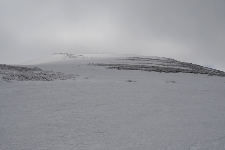 d0169556_18473786.jpg