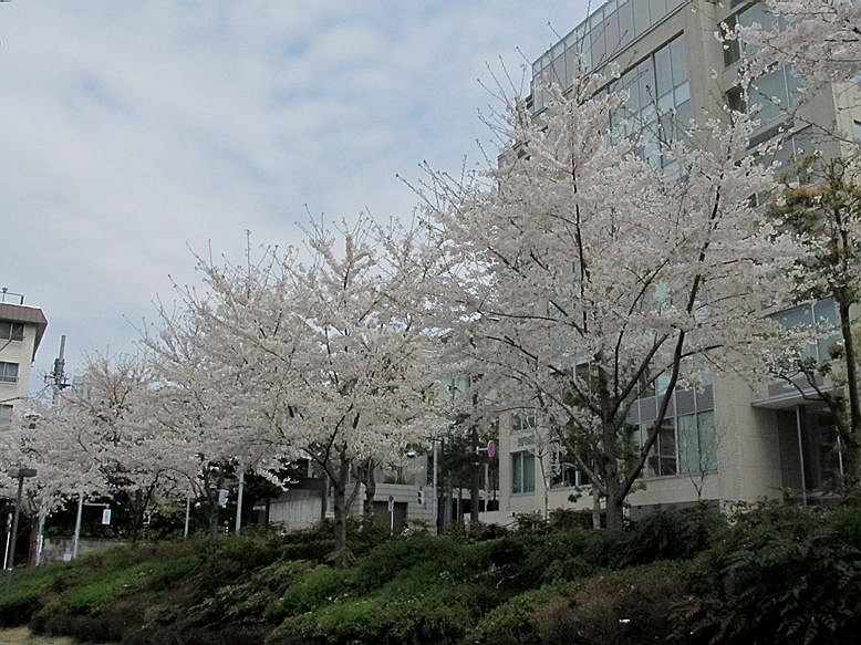 e0129656_2295067.jpg