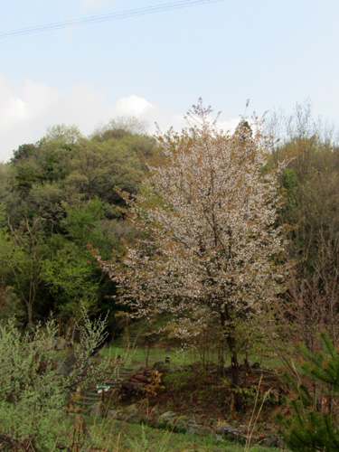 f0007956_843428.jpg