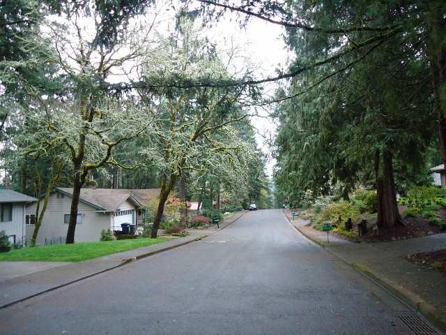 d0172957_3303956.jpg