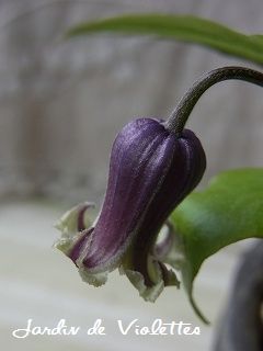 e0118257_16164770.jpg