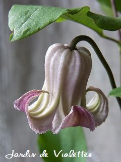 e0118257_16182075.jpg