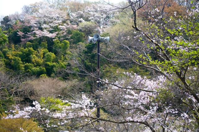 f0176458_19305157.jpg