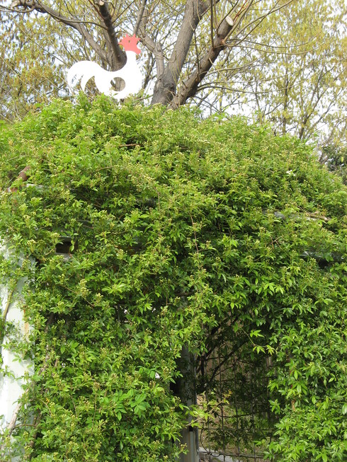 e0227261_1263461.jpg