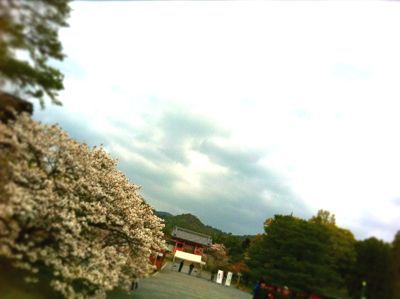 f0016981_012256.jpg