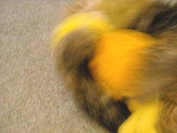 c0063182_10301372.jpg