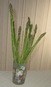 f0003283_20152637.jpg