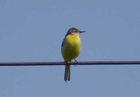 e0197884_2314557.jpg