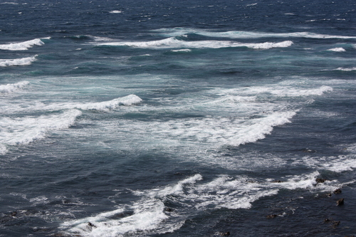 c0204385_2281527.jpg