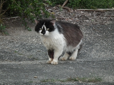 e0028387_161166.jpg