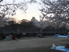 b0097689_20451092.jpg