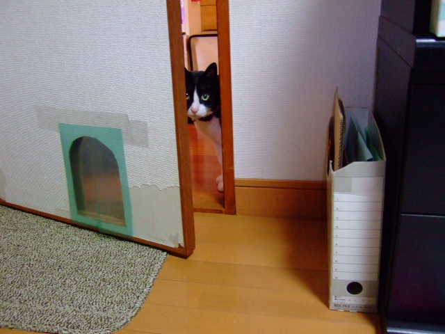 c0150193_22151330.jpg