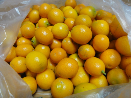 f0209394_2237207.jpg