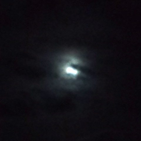 a0199297_22293440.jpg