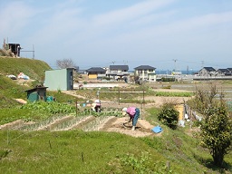 c0187298_1711919.jpg