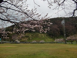 c0187298_176917.jpg