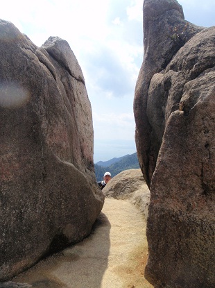 e0077899_7245876.jpg