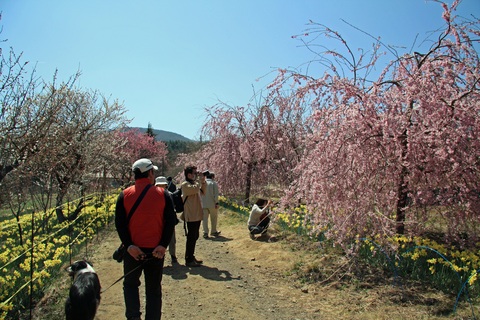 f0034602_1833127.jpg