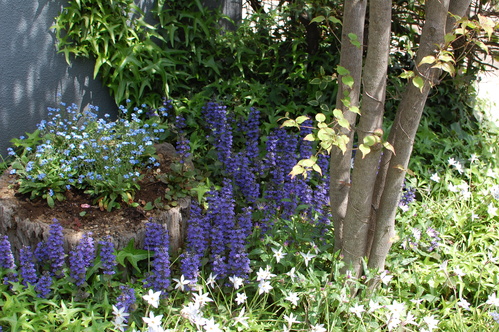 e0200405_2221353.jpg
