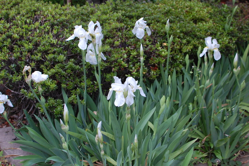 e0200405_2222173.jpg