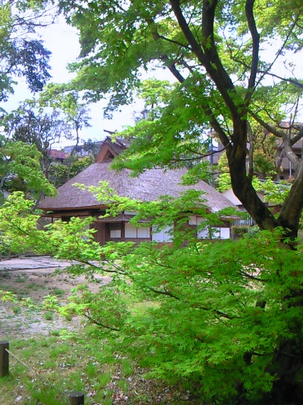 a0097006_22443015.jpg