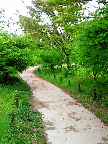 a0097006_22462988.jpg