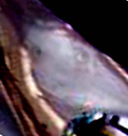 e0103408_172046100.jpg