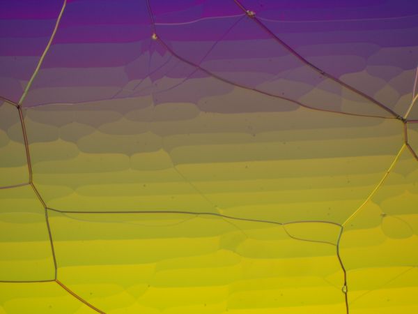 c0164709_6144931.jpg