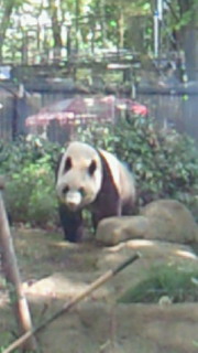 f0169509_15444062.jpg