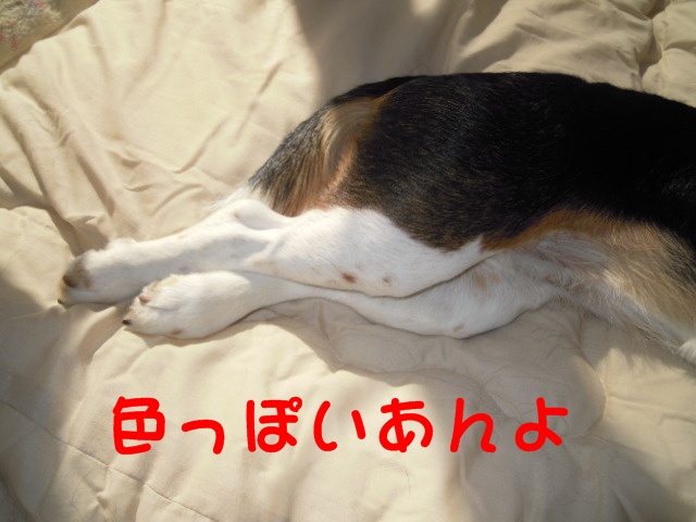 c0166622_11274094.jpg