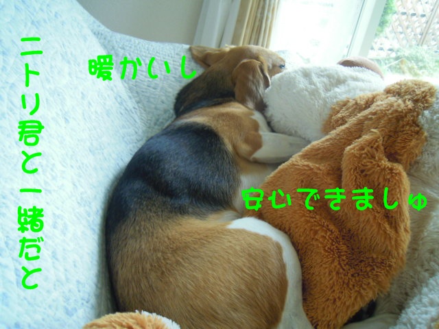 c0166622_11282627.jpg