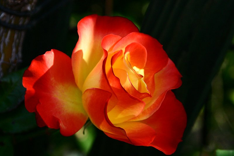 f0031423_20302732.jpg