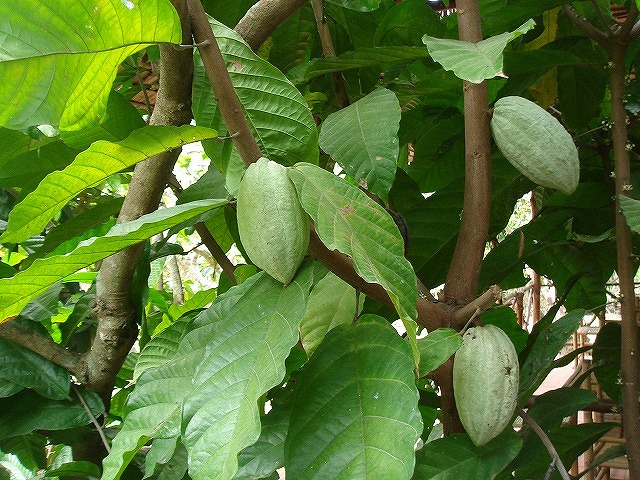 f0069723_13435273.jpg