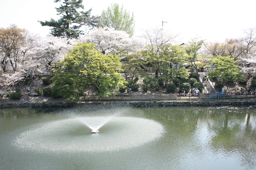 d0165124_1541568.jpg