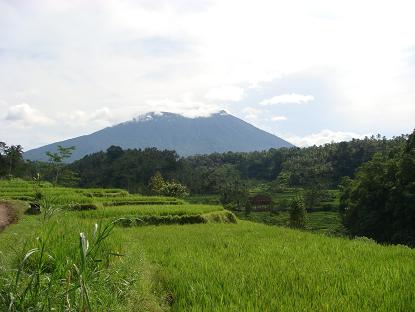 a0120328_22174543.jpg