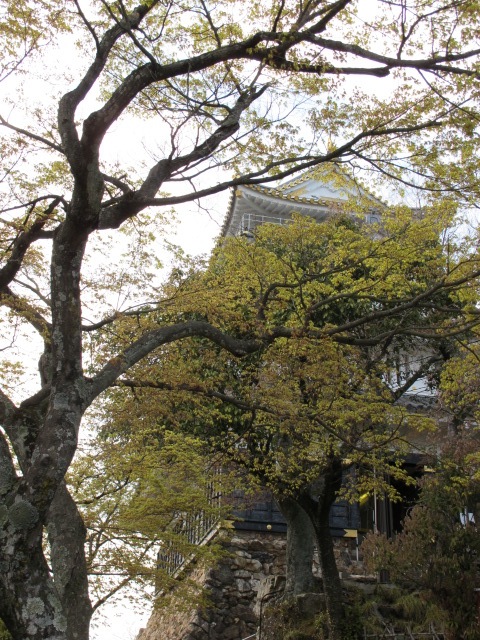 c0156828_11183954.jpg