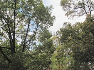 c0212929_1028296.jpg