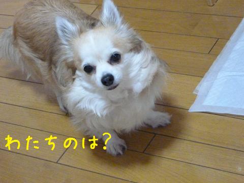 b0138430_20241912.jpg