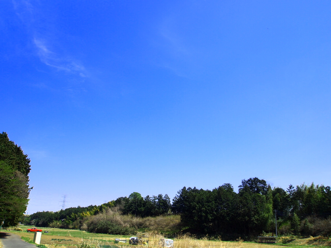 e0210331_2262482.jpg