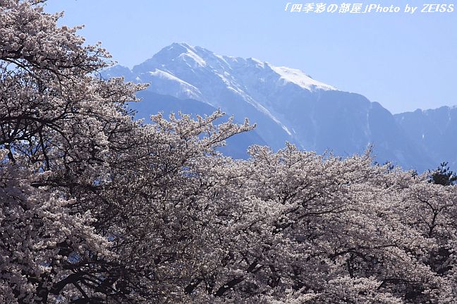 a0195032_20251252.jpg